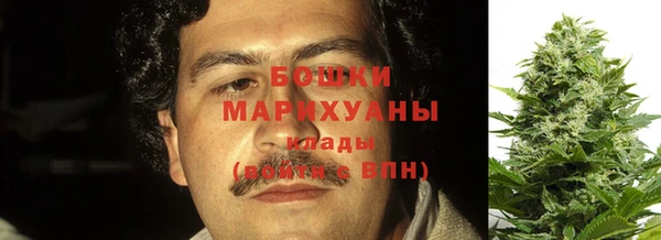 ПСИЛОЦИБИНОВЫЕ ГРИБЫ Балабаново