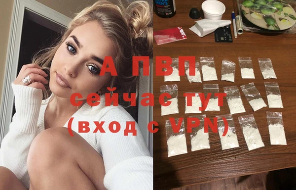 ПСИЛОЦИБИНОВЫЕ ГРИБЫ Новодвинск